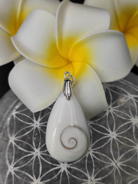 Pendentif Oeil de sainte-Lucie ou Oeil de Shiva 6